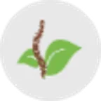 True Life Wellness & Physiotherapy